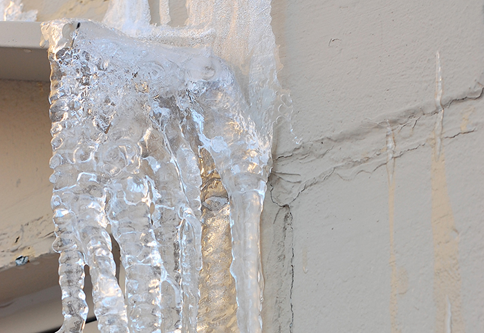winter freeze